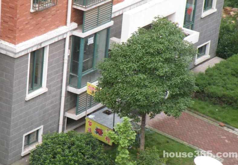 毫州哪几个镇封城了亳州为什么封小区