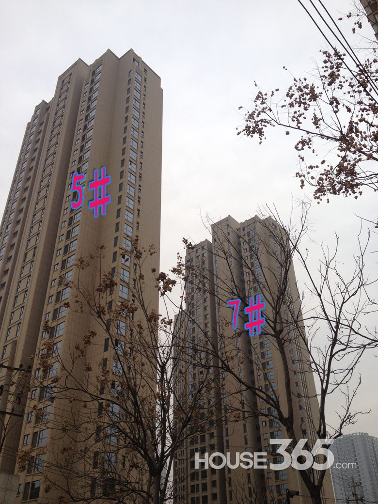 【芭蕉跑盘】中天锦庭项目2014年初工程进度