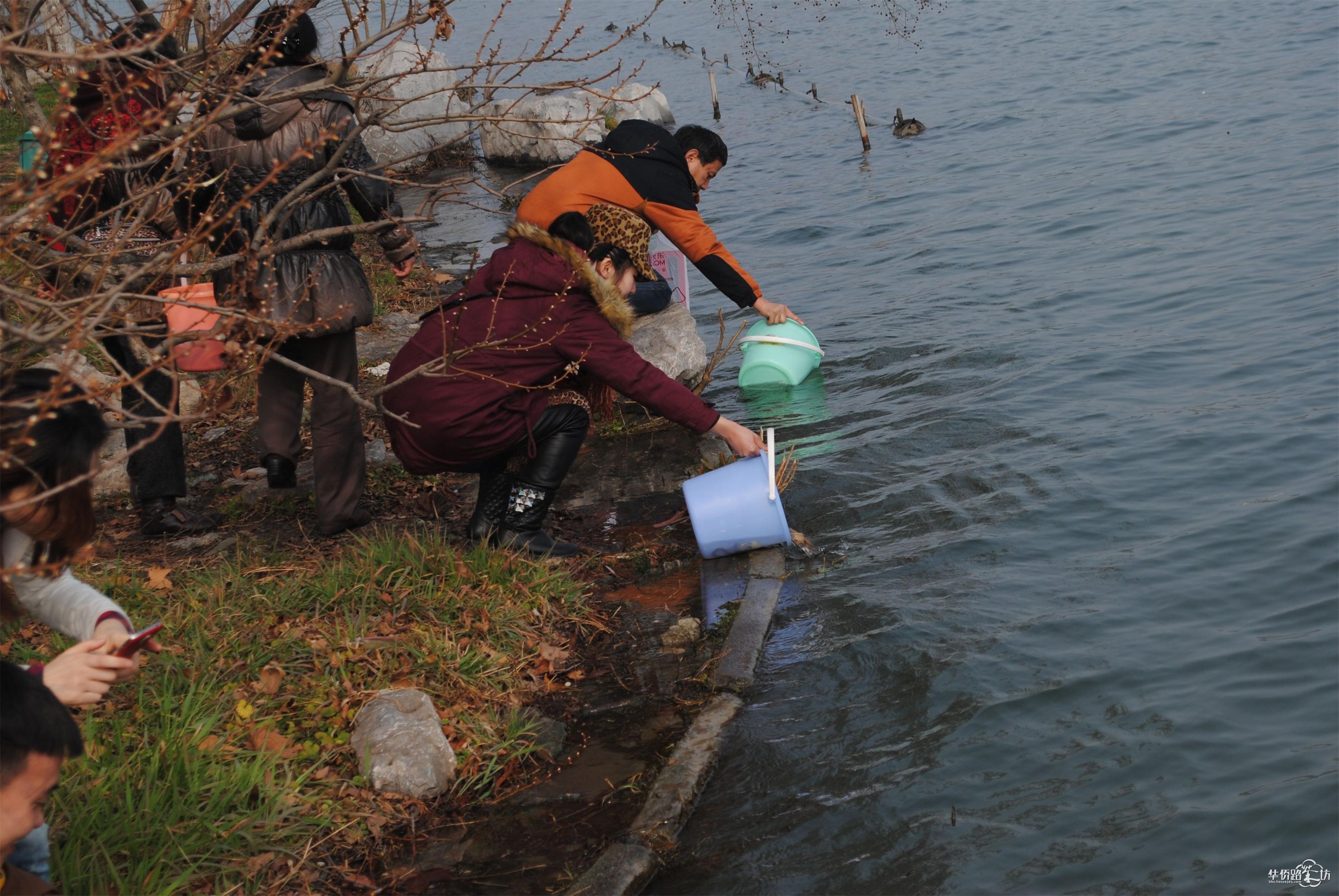 【年】 年初一玄武湖喇嘛寺放生