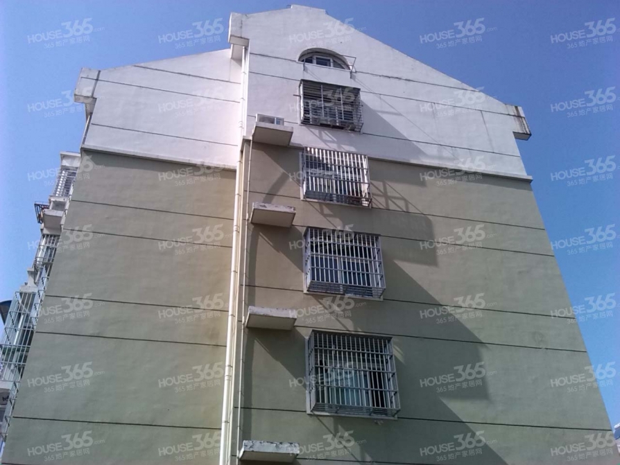 合肥二手房 合肥二手房出售 高新区小区 科技园小区 香樟花园 高新区