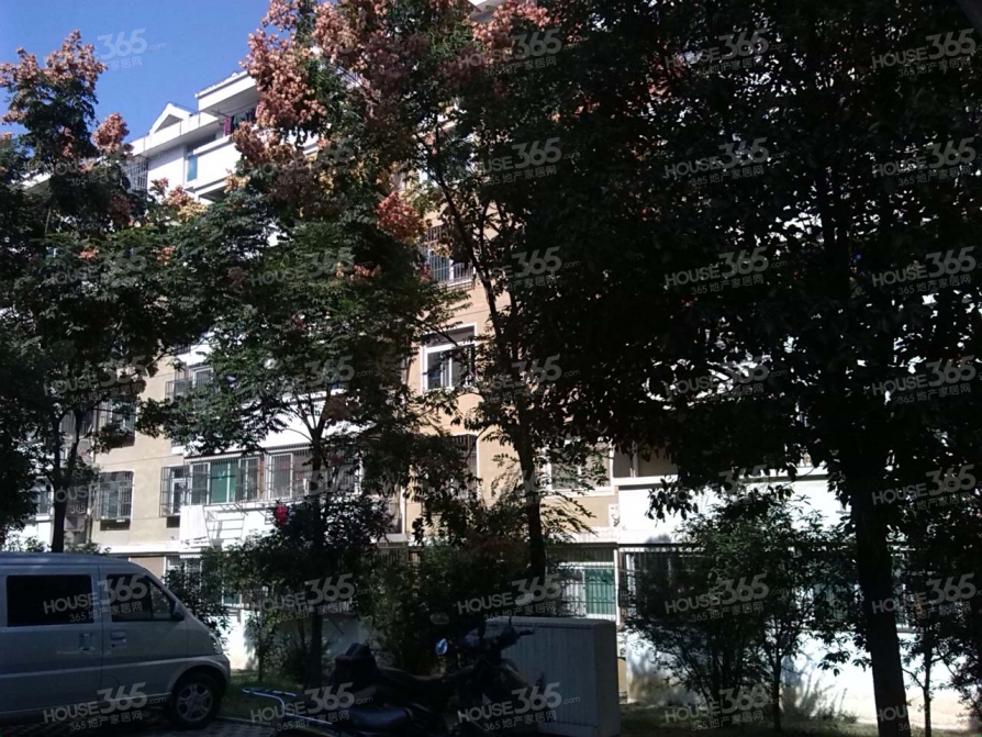 合肥二手房 合肥二手房出售 高新区小区 科技园小区 香樟花园 高新区